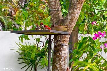 פנסיון Olee Villa