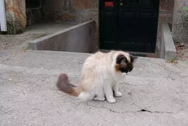 هتل Casa Da Quinta De S. Martinho