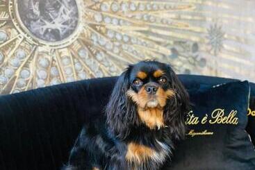 צימר Squero 911 Appartament