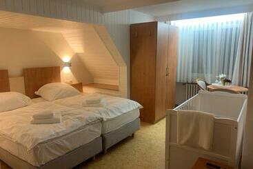 酒店 Gold´ne Krone