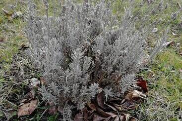 膳宿费 Zsuzsanna Vendégház