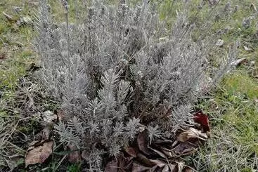 Pensiune Zsuzsanna Vendégház