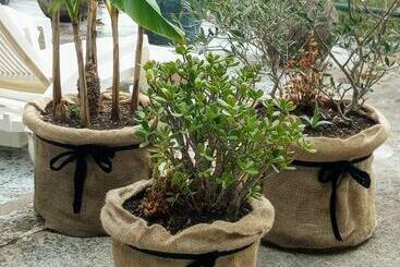 住宿加早餐 Chambre Bounty Cuisine Privée, Lit Queen Size, Terrasse, Garage