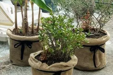 ベッドアンドブレックファースト Chambre Bounty Cuisine Privée, Lit Queen Size, Terrasse, Garage