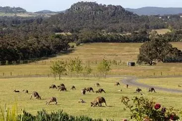 Aamiaismajoitus (B&B) Hanging Rock Views