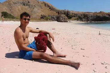 Hotelli Villa De Owis