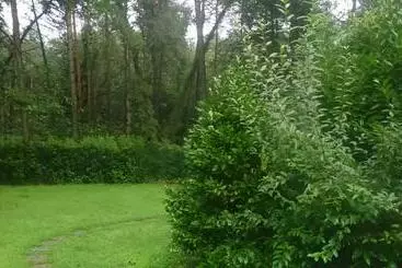 ペンション L Oasi Nel Bosco