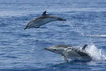 아파트 Residenza Capriccioli