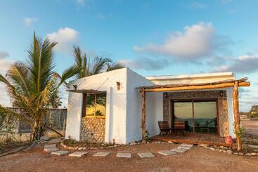 Apartmanszálloda Toninas México Bungalow Cardenal