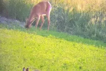 ベッドアンドブレックファースト La Berrycurienne Proche Du Zoo De Beauval Saint Aignan Avec Sdb, Wc Et Spa Privatif Pour Chaque Cham