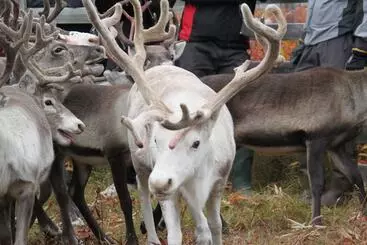 Hotelli Peace & Quiet