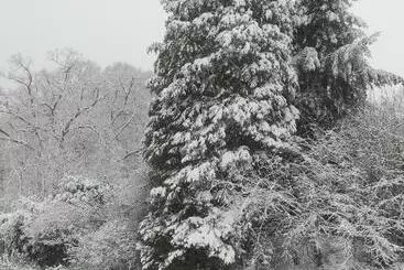 ベッドアンドブレックファースト Chambres La Belle Vue