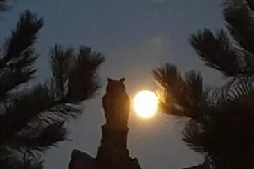 Huoneistohotelli Redhouse Studio Zen