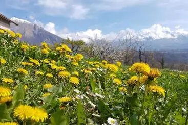 ベッドアンドブレックファースト Agriturismo La Giasena