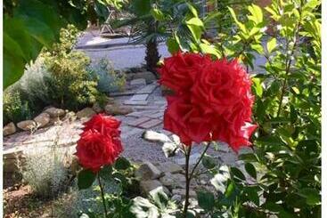 Bed and Breakfast Runamonte Camere