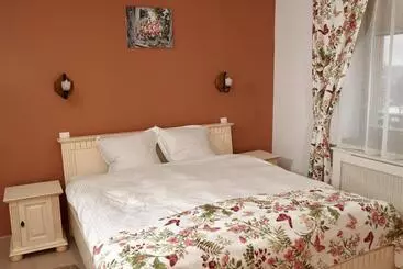 Pansiyon Vila Crisalia Sibiel Sibiu
