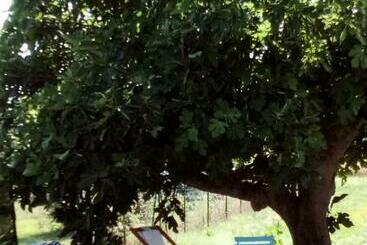 Bed & Breakfast I Fichi Bianchi