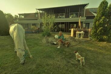 مبيت وإفطار Silver Horse Ranch