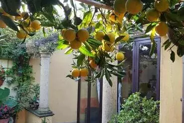 Pension L Agrumeto Segreto