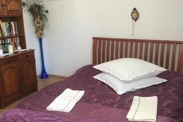 پانسیون Casa Firuta Borsa