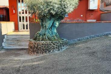 Bed & Breakfast Neapolis