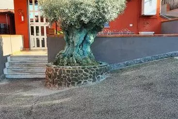 Bed & Breakfast Neapolis