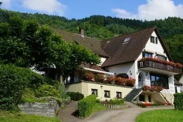 ユースホステル Landgasthof Grüner Baum