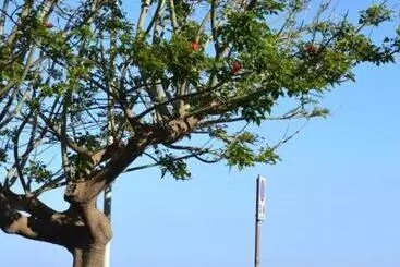 Aamiaismajoitus (B&B) I Tesori Del Mare