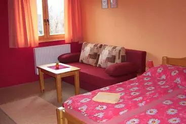 Pensjonat Penzión šindléry 533