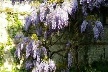 민박 Villa Osmanthus