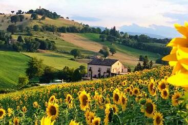 Nocleg ze śniadaniem Casale Delle Rondini