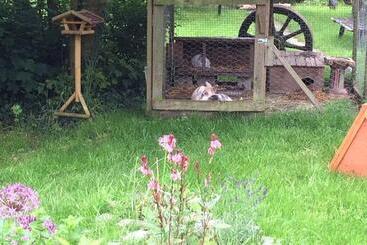 B&b Le Manoir D Ange