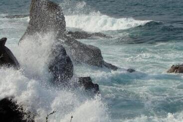 פנסיון Deep Blue Guest House