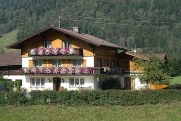 Пансион Haus Dachstein Schnitzer
