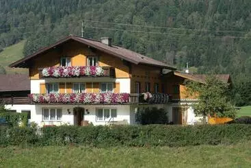 ペンション Haus Dachstein Schnitzer