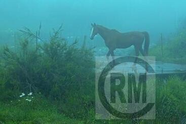 Pensionat Le Gallerie Luxury Accommodation