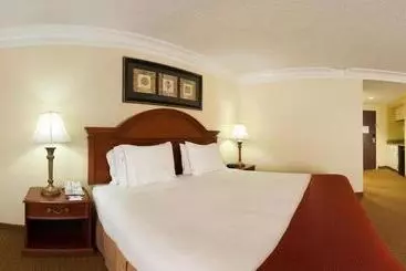 هتل Holiday Inn Express Ringgold By Ihg