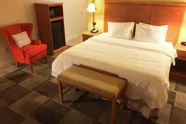 هتل Hampton Inn Garden City