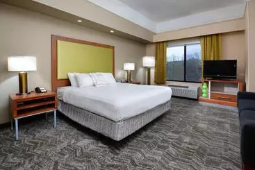 Апарт-отель Springhill Suites By Marriott Lynchburg Airport/university Area