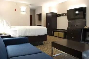 Holiday Inn Express Hotel & Suites Kingsport Meadowview I 26, An Ihg