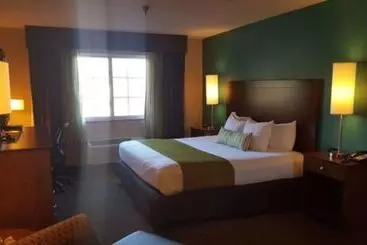 בית מלון כפרי Best Western Central City