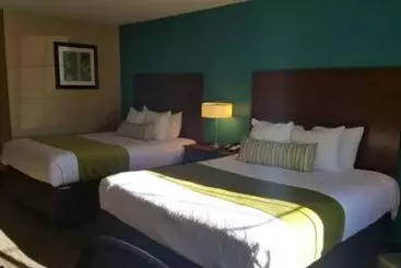 酒店 Best Western Central City