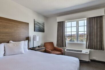 Отель Best Western Mountain View Inn