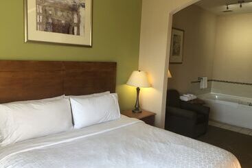 Holiday Inn Express Hotel & Suites Lansing Dimondale, An Ihg