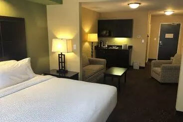 Holiday Inn Express Hotel & Suites Lansing Dimondale, An Ihg