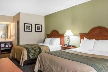 酒店 Comfort Inn Pine Grove I 81 Hershey Area