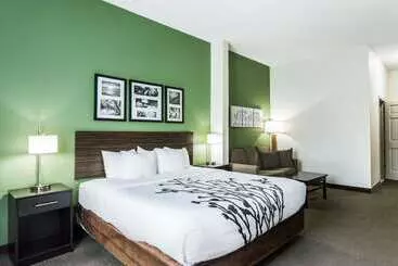 酒店 Sleep Inn & Suites Smithfield Near I 95