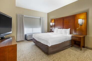 בית מלון כפרי Comfort Suites Wilson  I  95