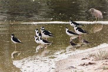 استراحتگاه Azul Talavera Country Club