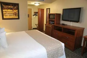 فندق C'mon Inn Missoula